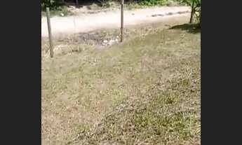 Imagem 2: Terreno à venda, 1700 m² por R$ 135.000,00 - Loteamento Agro Brasil - Cachoeiras de Macacu