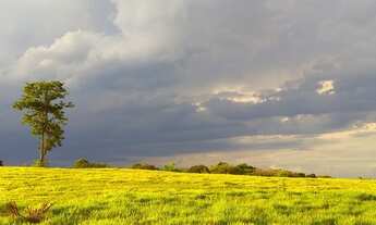 Imagem: Terreno à venda, 1232m² por R$ 425.000,00