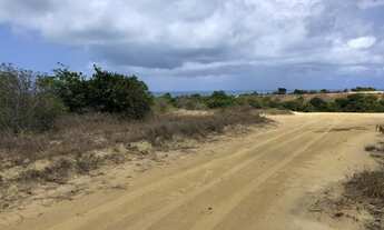 Imagem 4: Terreno carapibus