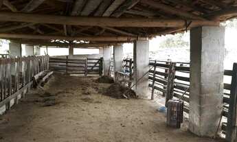 Imagem 5: São João Del Rei - Sítio - César De Pina