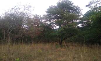 Imagem 2: Lote/Terreno para venda possui 1000 metros quadrados