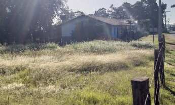 Imagem 6: Excelente Lote com 600 m2 sem benfeitoria campina taguaral 170.000