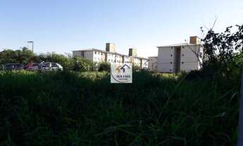 Imagem 3: Lote/Terreno para venda tem 713 metros quadrados em Pachecos - Palhoça - SC