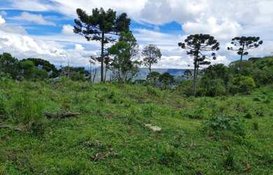 Imagem 2: Fazenda/Sítio/Chácara/Terreno/Francisco Krtiscka Corretor de imóveis