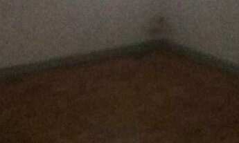 Imagem 6: Casa com 1 dormitório para alugar, 70 m² por R$ 1.700,00/mês - Belenzinho - São Paulo/SP