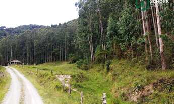 Imagem 2: Sítio à venda, 264.666 m² por R$ 220.000