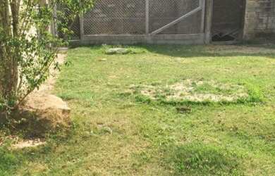 Imagem 6: ARMAZEM COMERCIAL em BRAGANÇA PAULISTA - SP, BOM RETIRO