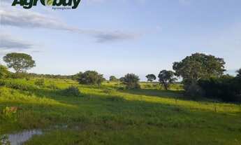 Imagem: Fazenda Com 1039 Alqueires Localizada em