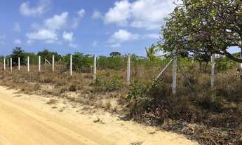 Imagem: Terreno carapibus
