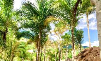 Imagem 5: Ocasião ! Terreno em área urbana Santa Teresa