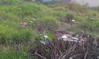 Imagem 2: Terreno Jd Bandeirantes