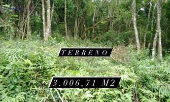 Imagem 3: Terreno à venda, 300671 m² por R$ 390.000,00 - Chácara Santa Maria - Cotia/SP