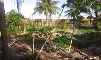 Imagem: Granja em São Gonçalo do Amarante - com