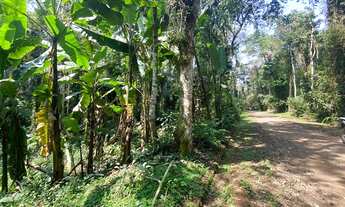 Imagem 3: LOTE PARA CONSTRUÇÃO IMEDIATA EM ITAMAMBUCA, LADO IMPAR