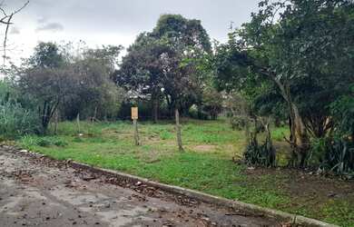 Imagem 7: Terreno com 1.000 metros no Jardim Aeroporto