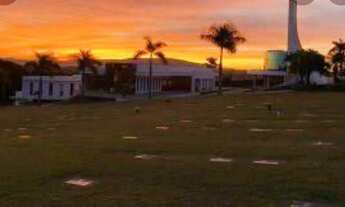 Imagem 3: Vendo jazigo no cemitério Memorial Park