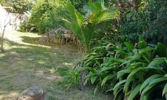 Imagem 4: Terreno-Engenho do Mato