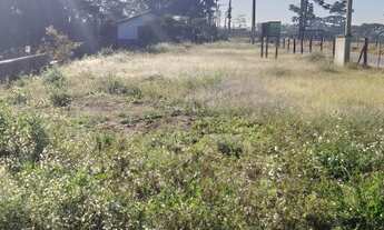 Imagem 5: Excelente Lote com 600 m2 sem benfeitoria campina taguaral 170.000