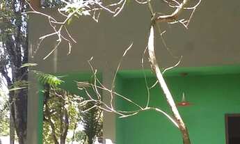 Imagem: CASA RESIDENCIAL em TRANCOSO - BA, Trancoso