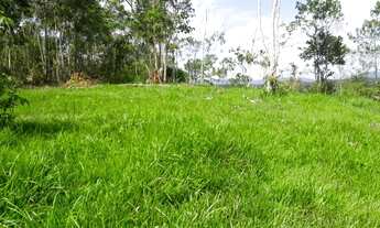 Imagem 3: Sítio 5 alqueires com Rio no final do Sítio (Willian Ricardo