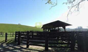 Imagem 3: Fazenda pronta p pecuária