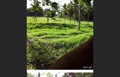 Imagem 5: Sítio a venda Chácara com venda por R$350.000