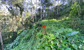 Imagem 5: Terreno à venda, 2400 m² por R$ 350.000,00 - Mury - Nova Friburgo/RJ