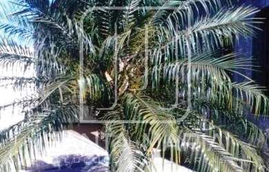 Imagem 4: Casa (térrea na rua) 2 dormitórios/suite, cozinha planejada