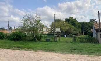 Imagem 3: Pelotas - Terreno Padrão - Areal