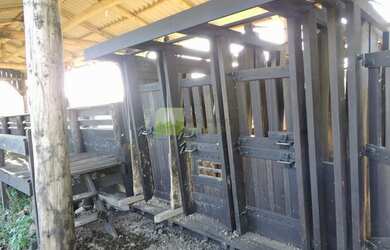 Imagem 4: Fazenda pronta p pecuária