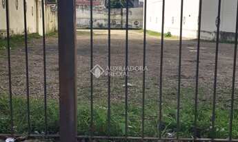 Imagem 6: PORTO ALEGRE - Terreno Padrão - Partenon