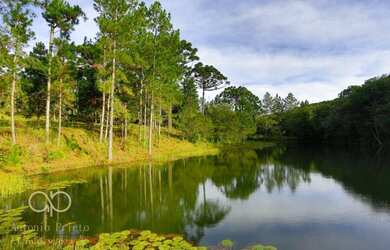 Imagem 5: Chácara com 7 dormitórios, 72600 m² - venda por R$ 2.800.000,00 ou aluguel por R$ 15.000,0