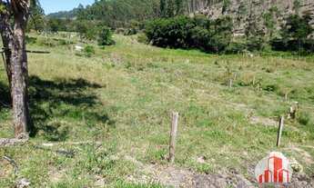 Imagem 5: Belíssima Área em Natividade !