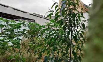 Imagem 2: Residencial - Vila Osasco