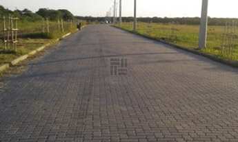 Imagem 2: PELOTAS - Terreno Padrão - Centro