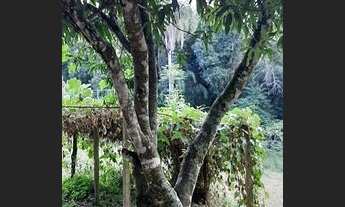 Imagem 7: Terreno Condomínio em Alphaville - Mairinque