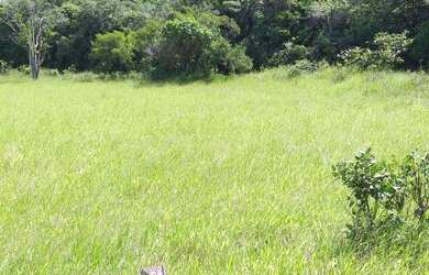 Imagem 6: AREA INDUSTRIAL em ATIBAIA - SP, PONTE ALTA