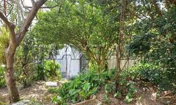 Imagem 11: CASA A VENDA EM UMA DAS MELHORES RUAS DO JARDIM DAO PAUL (ZONA NORTE