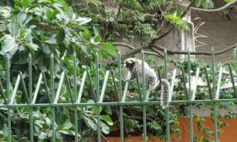 Imagem 2: EXCELENTE LOCALIZAÇÃO-PERTO DE METRO E COMERCIO