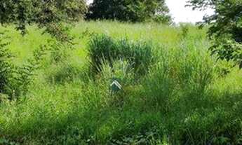 Imagem 4: Terreno à venda, 2180 m² por R$ 430.000,00 - Condomínio Jardim Primavera - Louveira/SP