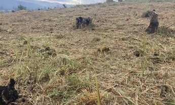 Imagem 3: Ficou facil Terreno / lote com venda por R$50.000