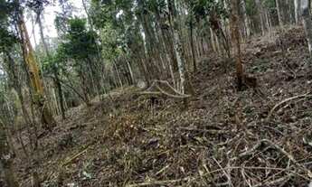 Imagem 6: Área para venda na Granja Urupes