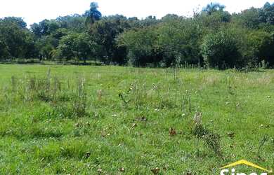 Imagem 2: Fazenda/Sítio/Chácara para venda tem 5643 metros quadrados em Lomba Grande - Novo Hamburgo