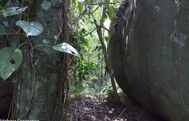 Imagem 5: Terreno 84.000m2 procuro empreendedor. Local Vargem Pequena, RJ