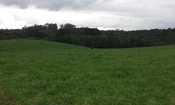 Imagem 3: Chácara com 78605 m2 Cachueira 2.000.000.00