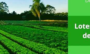 Imagem: Terrenos com a oferta Imperdível próximo