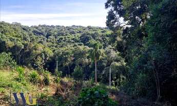 Imagem 2: Chácara para Venda em Balsa Nova, Rodeio Santo Antônio/Campina