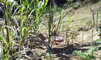 Imagem 7: Maraviloso sítio 15 hectares