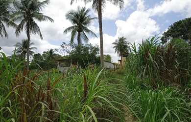 Imagem 6: SITIO RESIDENCIAL em Mata de São João - BA, Núcleo JK