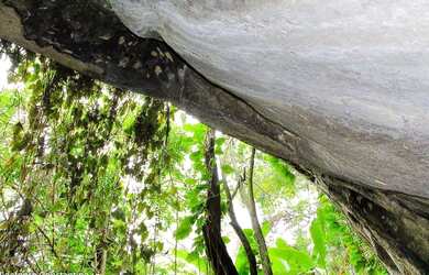 Imagem 4: Terreno 84.000m2 procuro empreendedor. Local Vargem Pequena, RJ